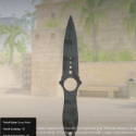 Counter-Strike 2