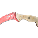 Counter-Strike 2