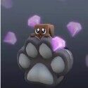 Roblox Limiteds