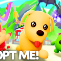 Adopt Me