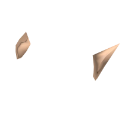 Roblox Limiteds