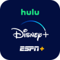 Disney+