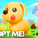 Adopt Me