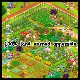 🌳⚡️Super Elegant🌳⚡️LvL 89 Hay Day🌳⚡️Big 3850 Barn storage🌳⚡️1400 silo storage🌳⚡️100%Land opened Upperside🌳⚡️Nicely Crafted and decorated🌳⚡️ 2