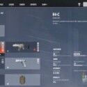 Rainbow Six Siege X
