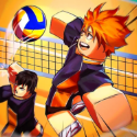 Volleyball Legends