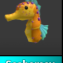 Items