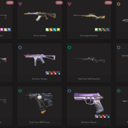 ๐ NA | ๐ RGX Blade + Prime Vandal + Sentinels Operator | ๐ฏ 4 Premium | ๐ Full Access
