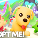 Adopt Me
