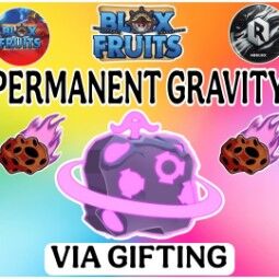 Gravity Permanent Blox Fruits 0