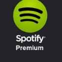 Spotify Subscription