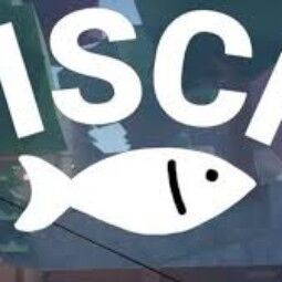 [フィッシュ]ゲームパス 🎣ダブル XP + どこでも売る + 鑑定士運 + フィッシャーズボブラー セット 0