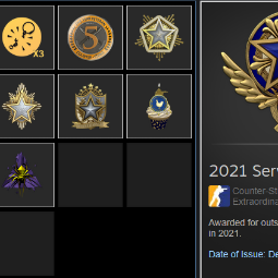 🔥CS2 Premier Ready🔥11 Medals🔥Faceit Enabled🔥Premier Ready🔥Email Access🔥2021 ブルーサービスメダル 1