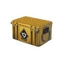 Counter-Strike 2