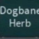 bridger: WESTERN