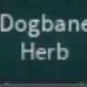 bridger: WESTERN