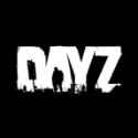 DayZ