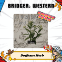 bridger: Western