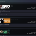 DayZ