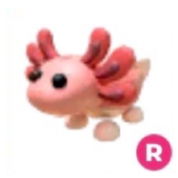 Axolotl Ride 0