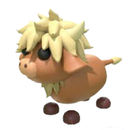 Highland Cow 0