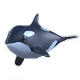 Orca - Adopt me 0