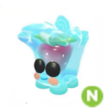 Items