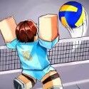 Volleyball Legends
