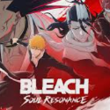 Bleach: Soul Resonance