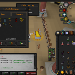 Dizanaの矢筒サービス - OSRS PURE ACCOUNT 1