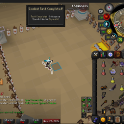 Dizanaの矢筒サービス - OSRS PURE ACCOUNT 2