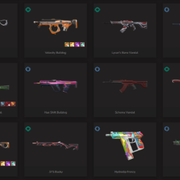 【NA】Ranked Ready | ✔️50 skins | ✔️5 knife Personal Administrative Melee Unit✔️Protocol 781-A Spectre✔️ Full Access | ⚡ Instant Delivery | VCS#1539 1