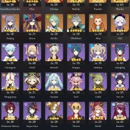 [EU HANDLEVELED] AR55 | Heroes 37 (Dehya C1 | Raiden Shogun C0 | Alhaitham C0 | Wanderer C0 | Tartaglia C0) | Leg heroes/weapons 7/1 0