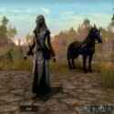 Elder Scrolls Online