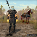 Elder Scrolls Online