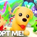 Adopt Me