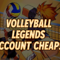 Volleyball Legends