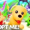 Adopt Me