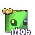 Pets Go Diamonds