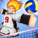 Volleyball Legends