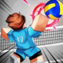 Volleyball Legends