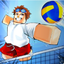 Volleyball Legends