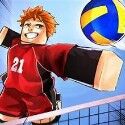 Volleyball Legends