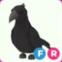 Adopt Me