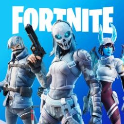 【53 スキン】 (pc/xbox) ダイナモ |フォーカス |ヘイズ |リヴィアのゲラルト |スペクトラナイト |オメガロック |ミズキ |エイジレス |FN11623 0