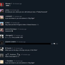 steam profile/ screenshots/ reviews /artworks (shared file) comments 0