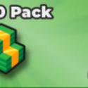 Case Paradise