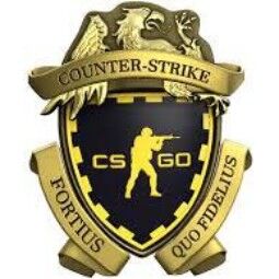 ✅CS2 Premier Ready✅2020 Medal✅ 3