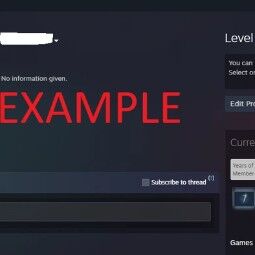 17-20 Years old Steam+4 LEVEL Steam+CS:1.6 or CS: Source+ 2-4 Old Cheap Games+2 MEDALS [5+10 Years Veteran coins CS2] NOT Prime!+Full Access 0