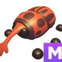 Items